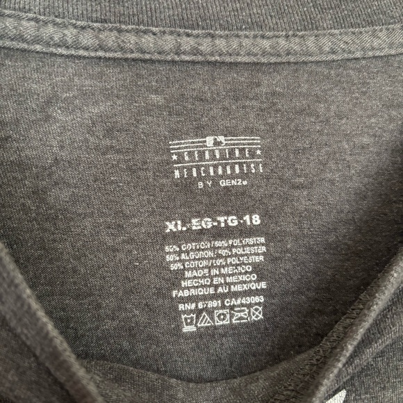 Braves World Series Champions Gray T-Shirt - Picture 3 of 4